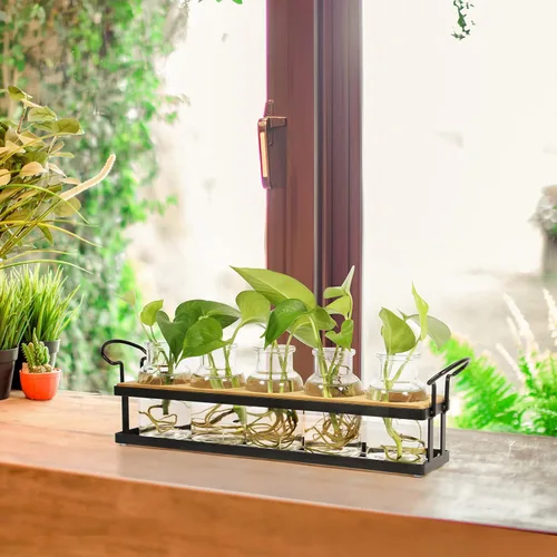 Vista 4 de THYGIFTREE Estaciones de propagación de plantas con soporte de metal, terrario de plantas de mesa para propagación hidropónica, maceta de vidrio