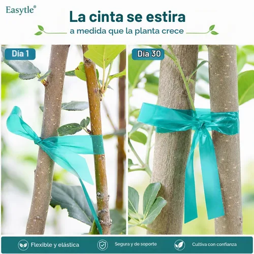 Vista 8 de Easytle Paquete de 2 rollos de cinta elástica de 150 pies, cinta de amarre de jardín de 1/2 pulgada, cinta gruesa y resistente para plantas, estacas