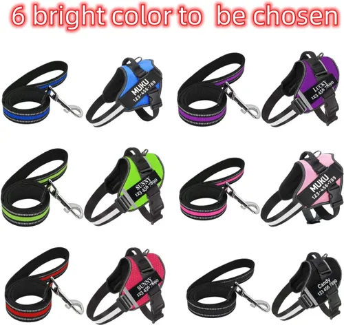 Vista 4 de Juego de correa de arnés para perro personalizado sin tirones con número de teléfono con nombre personalizado Reflective Breathable Heavy Duty