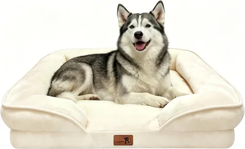 Vista 54 de Spotted Play Cama ortopédica para perros con lados, sofá cama para perros pequeños, sofá cama de espuma de apoyo para mascotas con funda extraíble