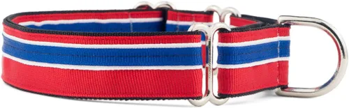 Vista 15 de If It Barks Collar Martingala de 1 pulgada con hebilla de liberación rápida, ajustable, fabricado en Estados Unidos, pequeño, arándano