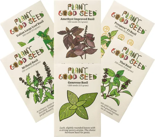 Vista 13 de Plant Good Seed Semillas de albahaca de hojas grandes italianas orgánicas para plantar: hierba culinaria, hojas verdes - Paquete de 200 semillas
