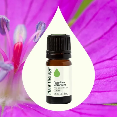 Vista 3 de Plant Therapy aceite esencial egipcio de geranio. (1/6 onzas).