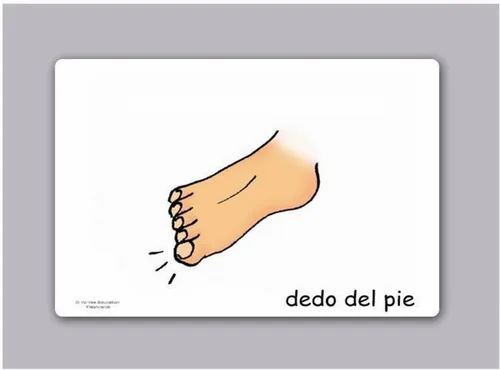 Vista 5 de Tarjetas de vocabulario -Partes del Cuerpo - Tarjetas de carrocería en español para niños pequeños de 2 a 4 años, niños y adultos