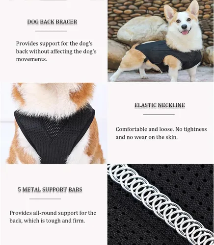 Vista 4 de IVDD - Soporte de espalda para perros, chaleco flexible de apoyo de espalda de perro salchicha para mascotas, soporte de espalda para mascotas