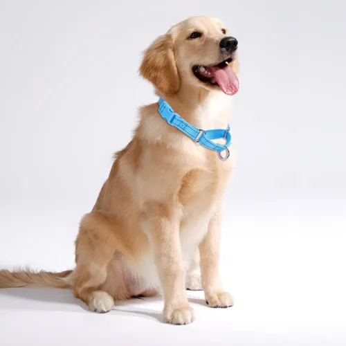 Vista 2 de Serijoars Martingale - Collar para perro, collar ajustable de nailon para entrenamiento, collar martingala reflectante para perros pequeños, Azul