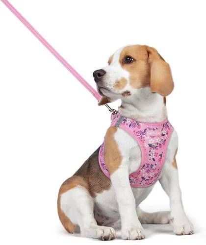 Vista 179 de rabbitgoo Arnés para perro de tamaño pequeño y juego de correa, chaleco Cachorros de manzana