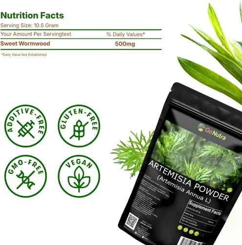 Vista 6 de Go Nutra Polvo de ajenjo dulce (Artemisia annua) Artemisinina natural Apoya la salud digestiva, la energía y los antioxidantes Té de hierbas