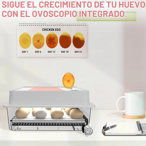 Vista 3 de OBI-36 Incubadora de huevos para incubar - 36 huevos - Control estable de temperatura y humedad con aislamiento Eggloo, Candler - Ideal