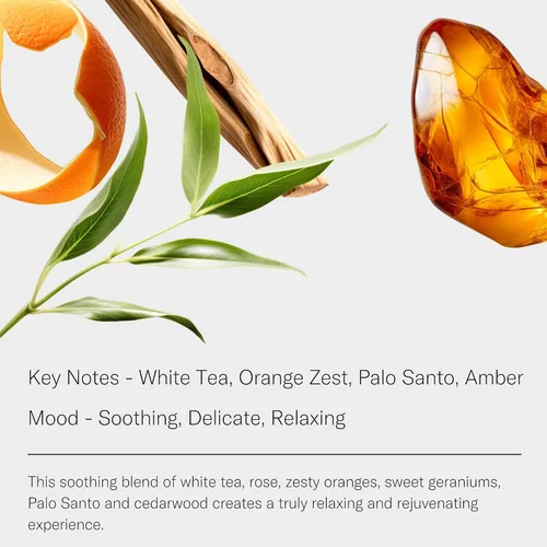 Vista 2 de AromaTech Aceite de aroma de té blanco para difusores de aceite de aroma, 0.3 onzas líquidas