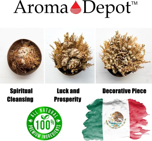 Vista 4 de ONE - Flor de Jericó Flor de Jericó - Planta de Resurrección Selaginella Lepidophylla Rosa Seca I Rosa Sagrada I Planta Doradilla 2.5