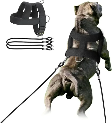 Vista 2 de Forestpaw Arnés de perro resistente sin tirones para entrenamiento, chaleco táctico con 3 anillos de metal, arnés acolchado suave para perros
