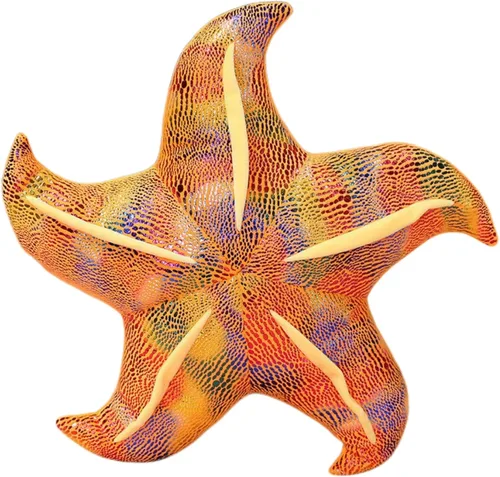 Vista 10 de Almohada de estrella de mar para sofá, cojín de suelo, almohada para el hogar (3.1 x 7.9 in, azul)