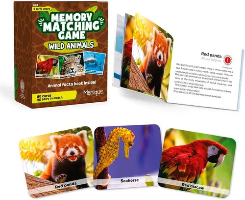Vista 18 de Menique Juego de Memoria de Banderas de Estados de EE. UU. – 100 Tarjetas (50 Parejas) – Aprende Banderas de Estados, Capitales y Abreviaturas