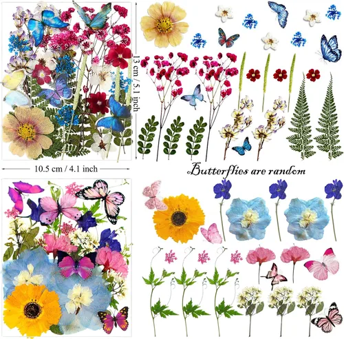 Vista 5 de 99 piezas de flores prensadas y mariposas para moldes de resina, hojas de flores naturales assortidas para pegatinas de arte DIY, manualidades