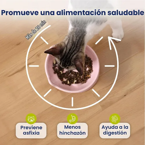 Vista 3 de PawsPik Lynx - Cuenco elevado de cerámica para perros y gatos, color rosa Quartz rosa