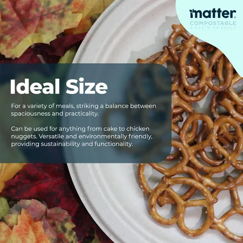 Vista 2 de Matter Platos de fibra compostables prémium de 6 pulgadas, paquete de 150, platos desechables biodegradables ecológicos resistentes para aperitivos