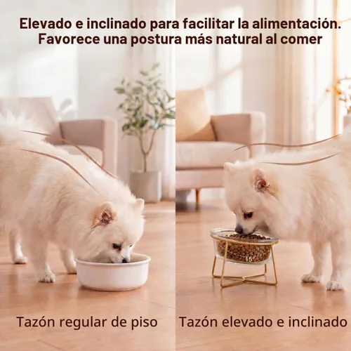 Vista 4 de Cuenco elevado de vidrio pequeño inclinado para gatos y perros, plato elevado para comida para gatos, plato de agua para mascotas, cuencos