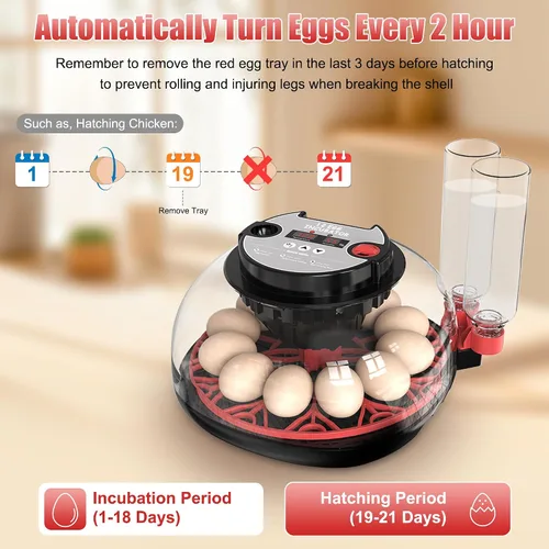 Vista 4 de Incubadora de 12 huevos con control de temperatura, pantalla de humedad, girador automático de huevos y vela, recarga automática de botella de agua
