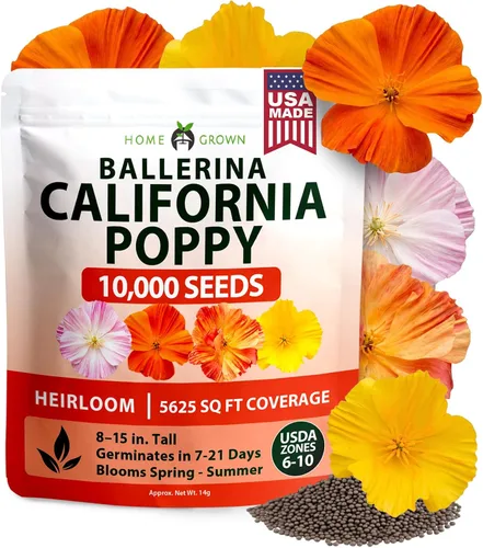 Vista 66 de HOME GROWN Bachelor Button Tall Mix 700+ Semillas de flores Centaurea