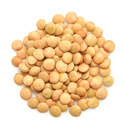 Vista 3 de Yupik Lentejas Verdes Orgánicas, 2.2 lb (35.2 oz), Sin OGM, Veganas, Sin Gluten, Kosher, Crudas, Fuente de Fibra, Hierro y Proteínas, Fibra