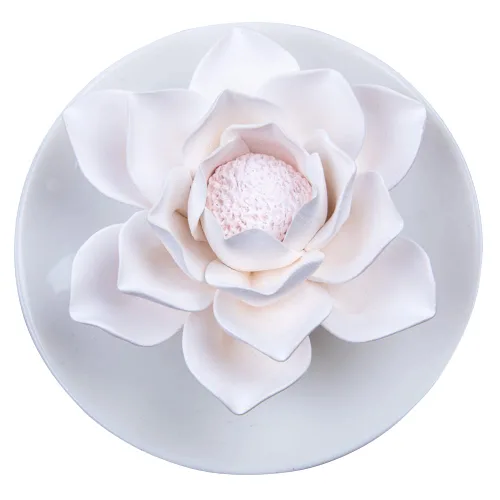 Vista 11 de Difusor pasivo de flores de aceite esencial - Difusores de aromaterapia de porcelana no eléctricos para habitación pequeña mini, decorativo
