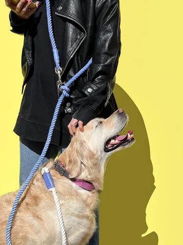 Vista 5 de Correa de perro de cuerda de algodón multifuncional hecha a mano con manos libres, respetuosa con el medio ambiente, 8.2 pies con gancho giratorio