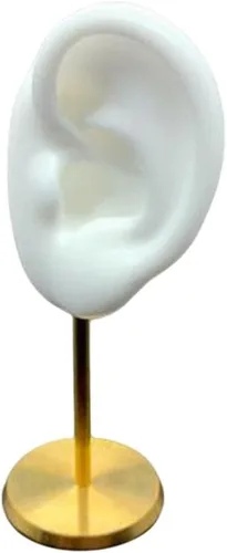 Vista 7 de Colaxi Soporte de exhibición de aretes, soporte de oreja para modelo, herramientas de enseñanza, decoración de escritorio duradera con base estable