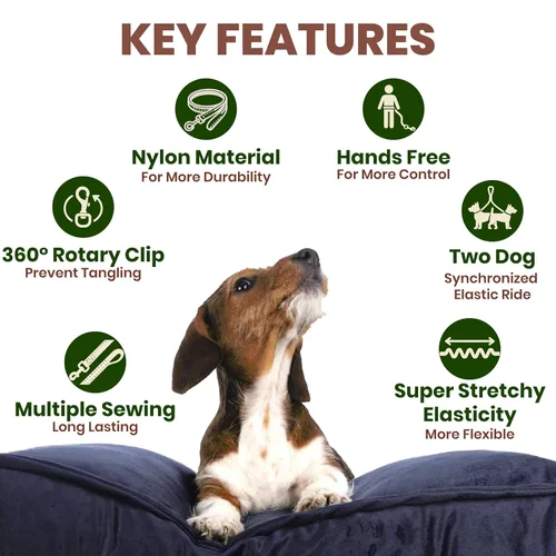 Vista 4 de Correa de perro manos libres para 2 perros con elástico y cinturón Diseño sin enredos con asas acolchadas, costuras reflectantes, cinturón