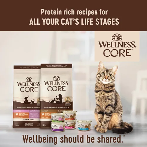Vista 9 de Wellness CORE Pate - Alimento húmedo enlatado para gatos adultos, natural, rico en proteínas, sin granos, receta de pollo y pavo, 3 onzas, paquete
