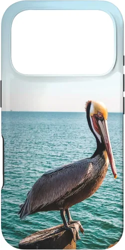 Vista 29 de iPhone 11 Pelican Case