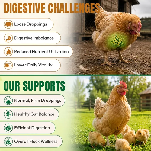 Vista 4 de Chicken Electrolytes & Supplement for Water, Natual Antibiotic for Chickens