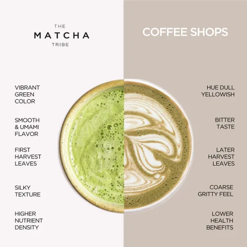 Vista 6 de Polvo de matcha japonés orgánico – Té verde Uji ceremonial Primera cosecha molido Polvo de matcha puro para lattes 2 latas de 1.06 oz
