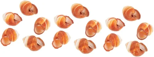 Vista 11 de PRETYZOOM Conchas de caracol francés, caracol extra grande, conchas de caracol Escargot, conchas de caracol decorativas, conchas gigantes, conchas