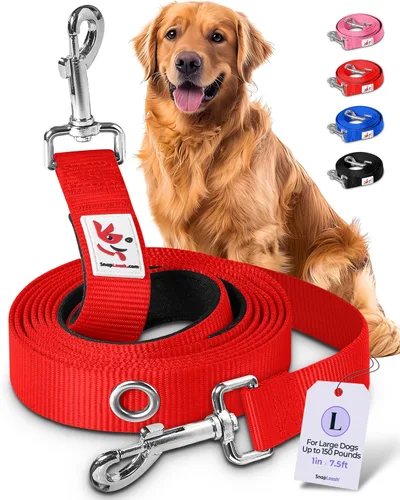Vista 9 de Correa de perro manos libres para entrenamiento, correr, correa de cintura y hombro para caminar, correa de tráfico, correa doble para mascotas