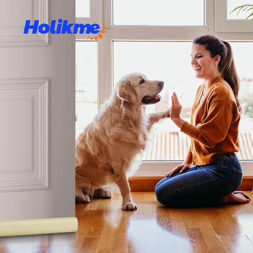 Vista 6 de Holikme - Tapón para debajo de la puerta, sello de puerta, relleno de huecos, burlete Beige