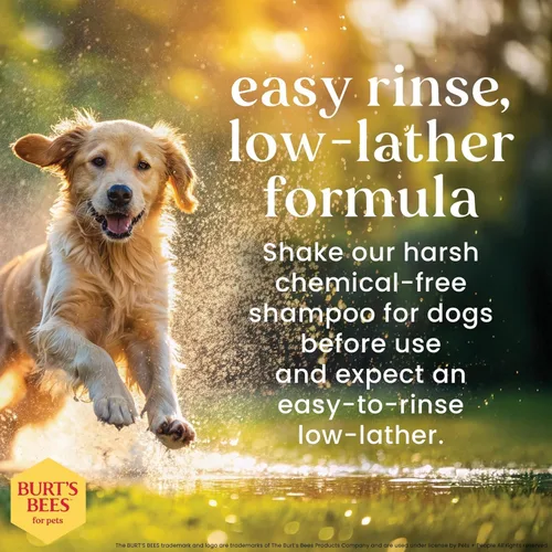 Vista 4 de Burt's Bees for Pets Champú desodorante para perros, manzana y romero, 16 onzas líquidas