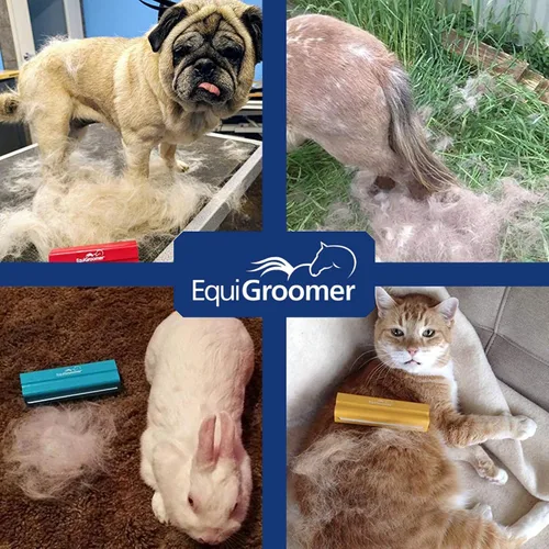Vista 6 de EasyGroomer - Cepillo para quitar pelaje para perros y gatos, herramienta azul para mascotas grandes y pequeñas, elimina la suciedad, el pelo