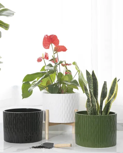 Vista 7 de LaDoVita Maceta de cerámica con soporte, maceta de 10 pulgadas con estante de madera, macetas redondas modernas para interiores con soporte