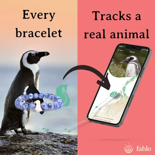 Vista 2 de Fahlo Pulsera de seguimiento de pingüinos elástica compatible con la Sociedad Global de Pingüinos talla única para hombres y mujeres Piedra Sin gemas