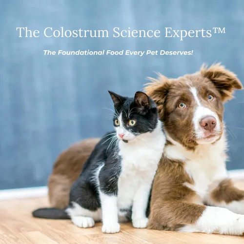 Vista 4 de Nutrición para mascotas aprobada por veterinarios, para perros y gatos, calostro bovino liposomal, rico en inmunoglobulinas (25%+), apoyo