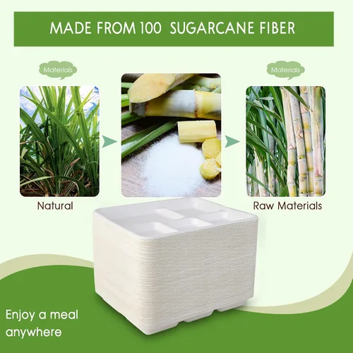 Vista 7 de Vplus Platos 100% compostables con 5 compartimentos, paquete de 125 platos ecológicos desechables de caña de azúcar de 10 x 8 pulgadas, bandeja