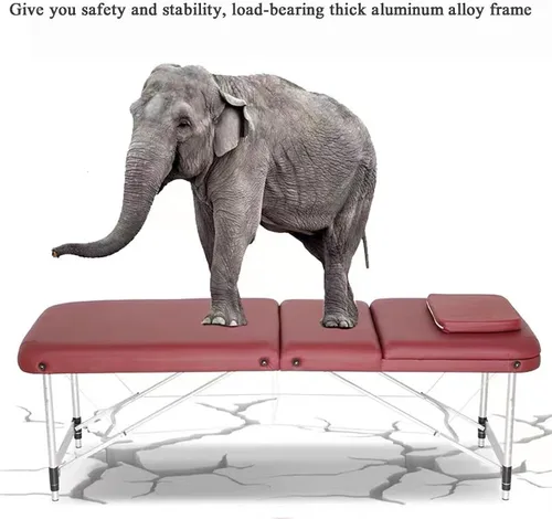 Vista 7 de Portable 3-Fold Massage Table, Height Adjustable Aluminum Spa Bed, 73 Inches, with Carrying Case, Comfortable PU Leather