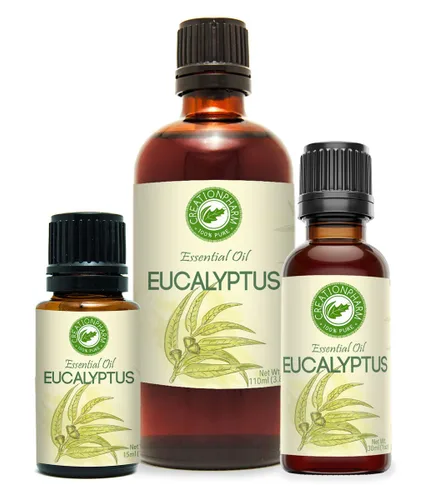 Vista 3 de Eucalipto globulus 2 oz - Aceite de Eucalipto Esencial by Creation Pharm
