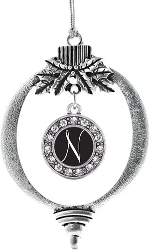 Vista 512 de Inspired Silver - Adorno de cromosoma 21 con dije de círculo de plata con joyas de circonita cúbica