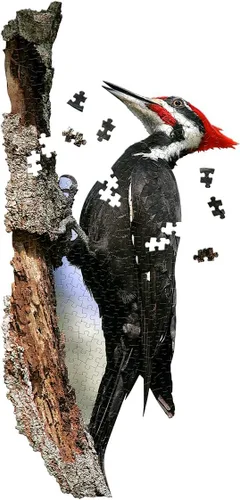 Vista 4 de Madd CAPP Puzzles I AM Woodpecker - Rompecabezas de 300 piezas en forma de animal para niños y adultos - Rompecabezas de piso grande - Actividad
