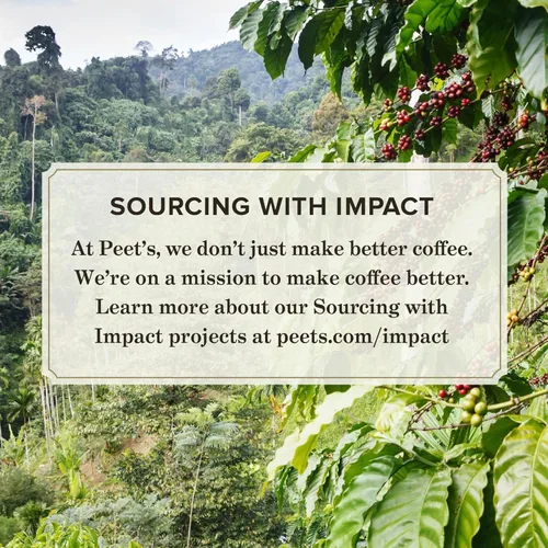Vista 2 de Peet's Coffee - Café con tostado medio, cápsulas para una porción de K-Cup para cafetera Keurig