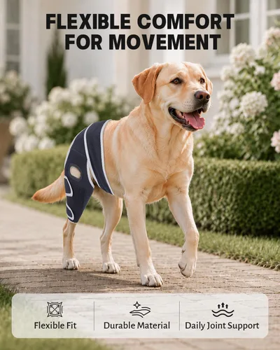 Vista 5 de Dog Knee Brace for Torn Acl Hind Leg, Relieves Ligament Injury and Joint Pain, Adjustable Leg Support Bracket for Warmth and Support, Universal Dog