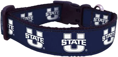 Vista 52 de Collar de Perro Universitario (Pequeño, Fuerza Aérea)