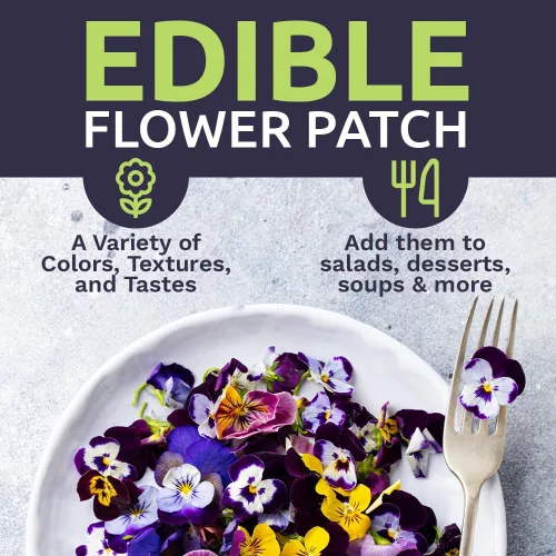 Vista 6 de Wildflower Seeds - Mezcla de flores comestibles, 1 onza más de 7,000 semillas anuales y perennes polinizadas abiertas